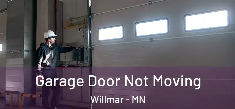 Garage Door Not Moving Willmar - MN