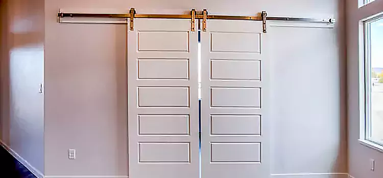 Glass Barn Door with Installation Hardware Kit Willmar